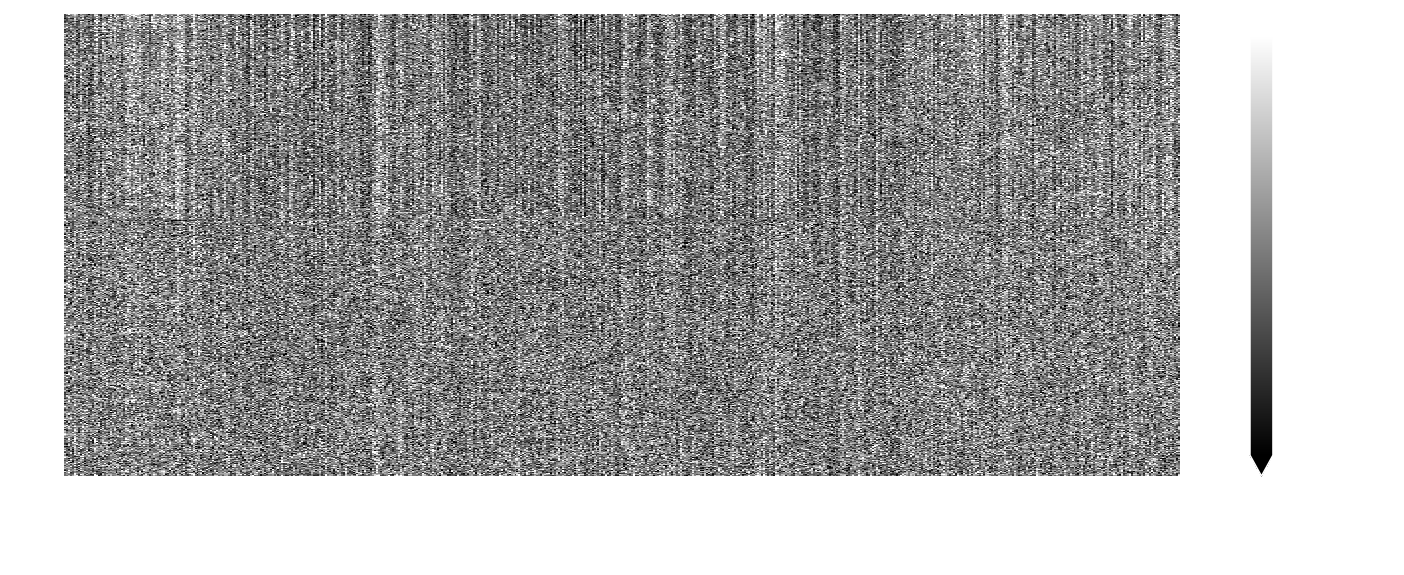 Carpet plot of power Doppler voxel time-series