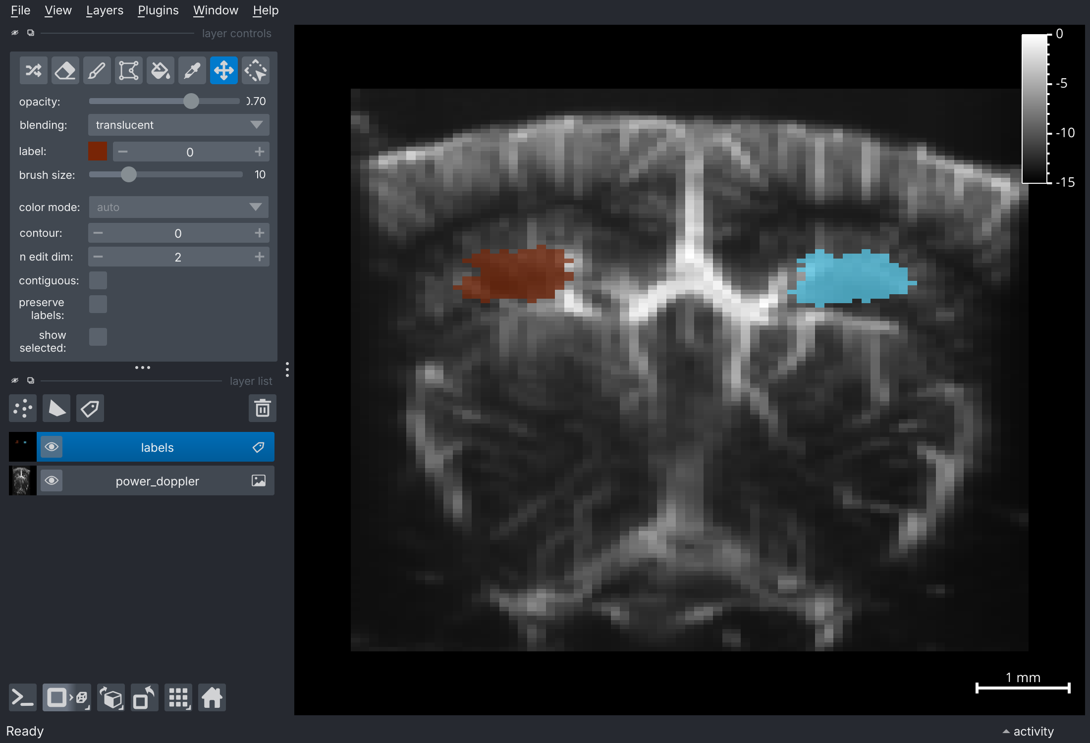napari viewer with two painted ROI regions