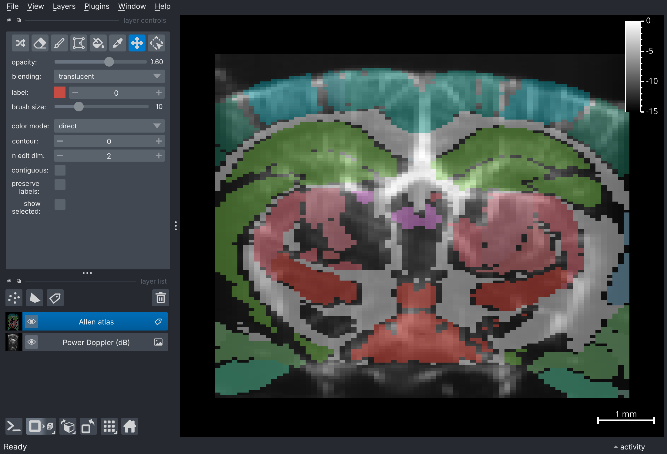 napari viewer with Allen atlas Labels layer overlaid